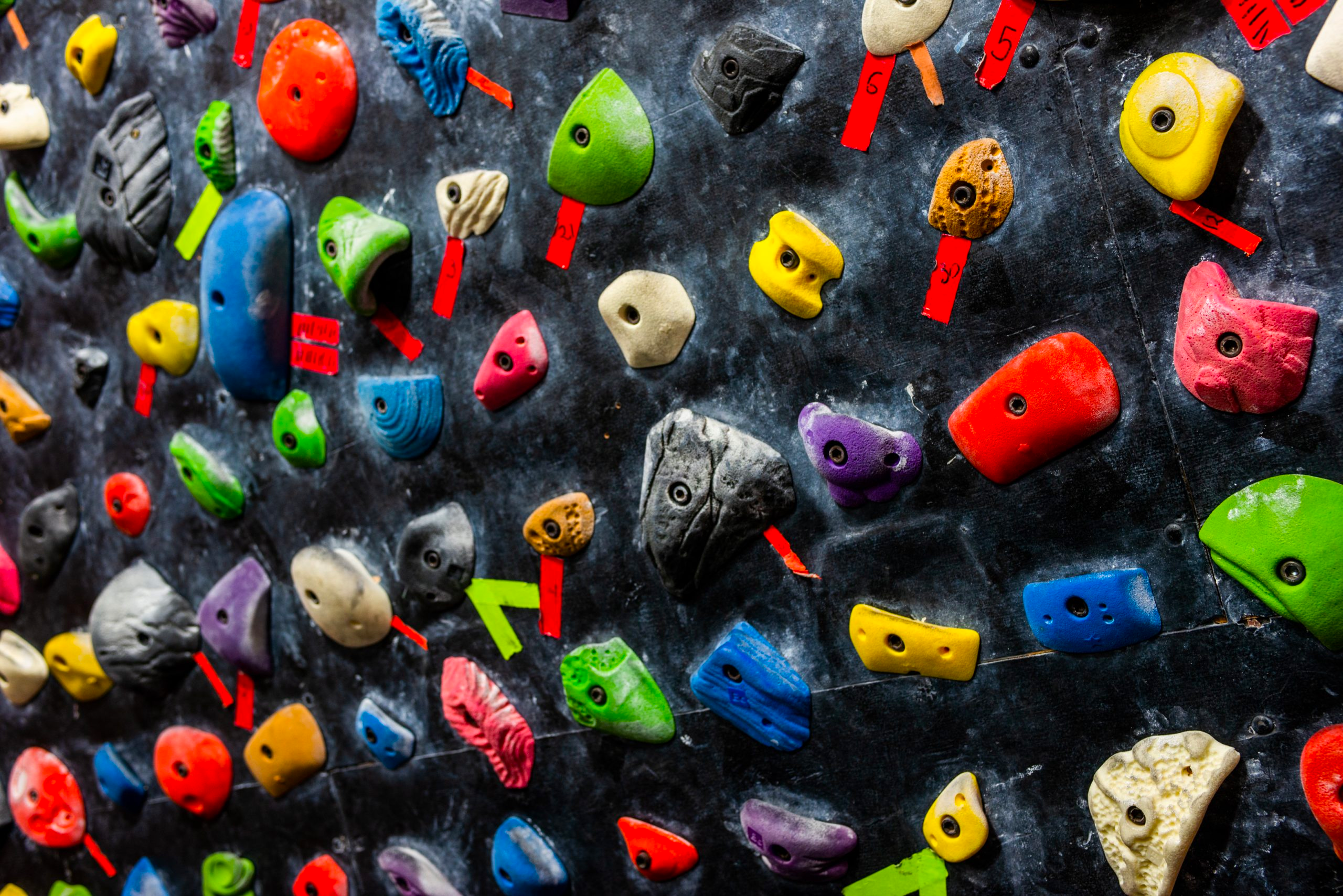 Rock Climbing Image