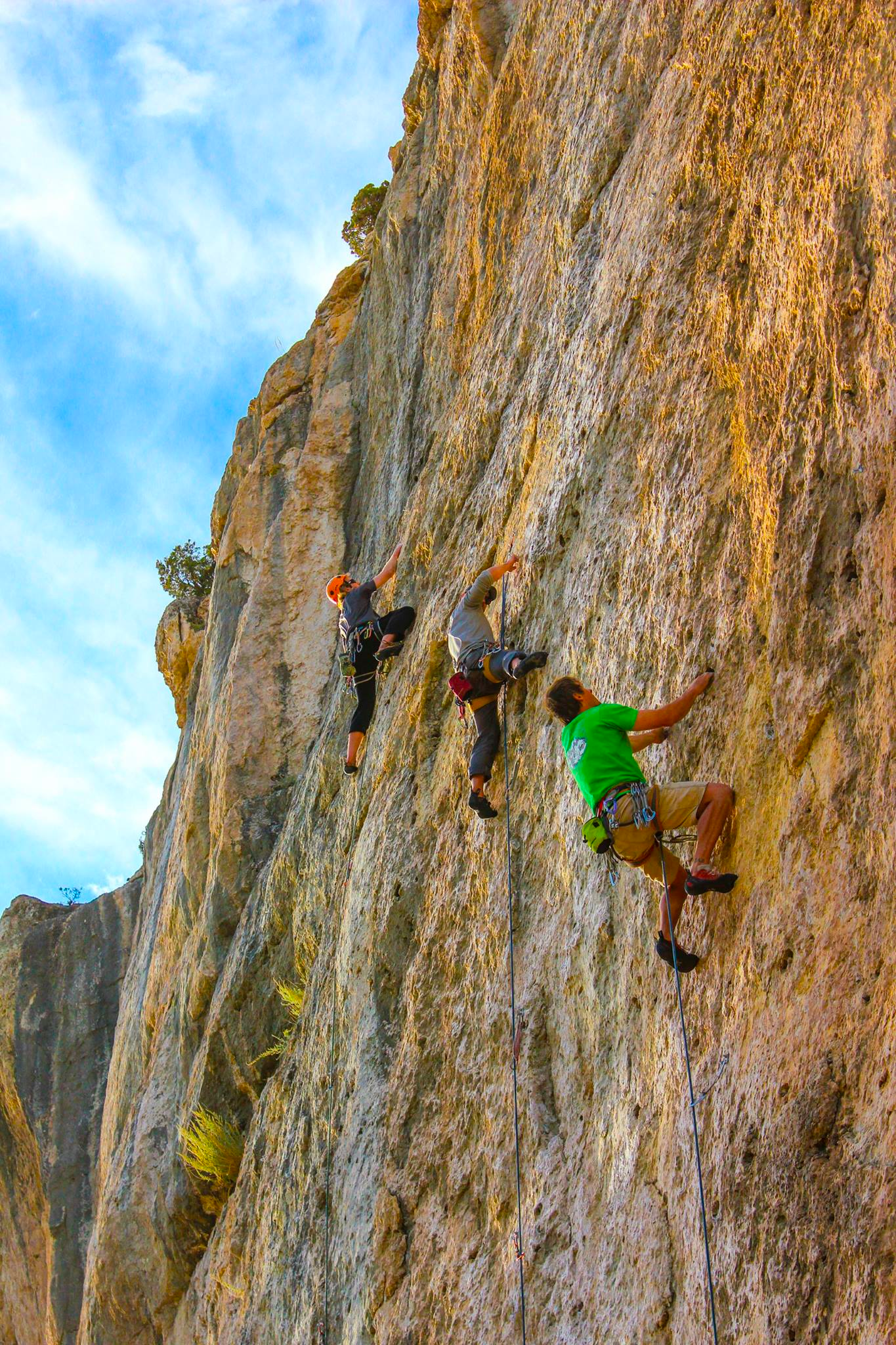 Rock Climbing Image
